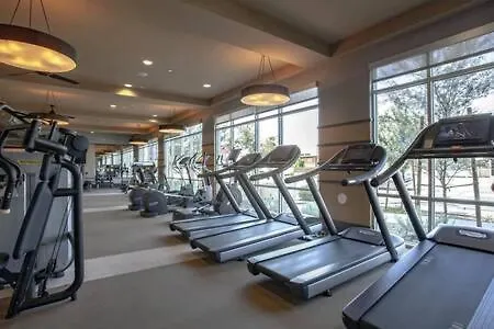 Apartment Paradise Cozysuites With Pool And Jacuzzi 11 Phoenix